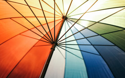 Essential Commercial Insurance Policies for Small Businesses